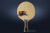Основание GAMBLER DJ FLY FLARED Основание GAMBLER DJ FLY FLARED